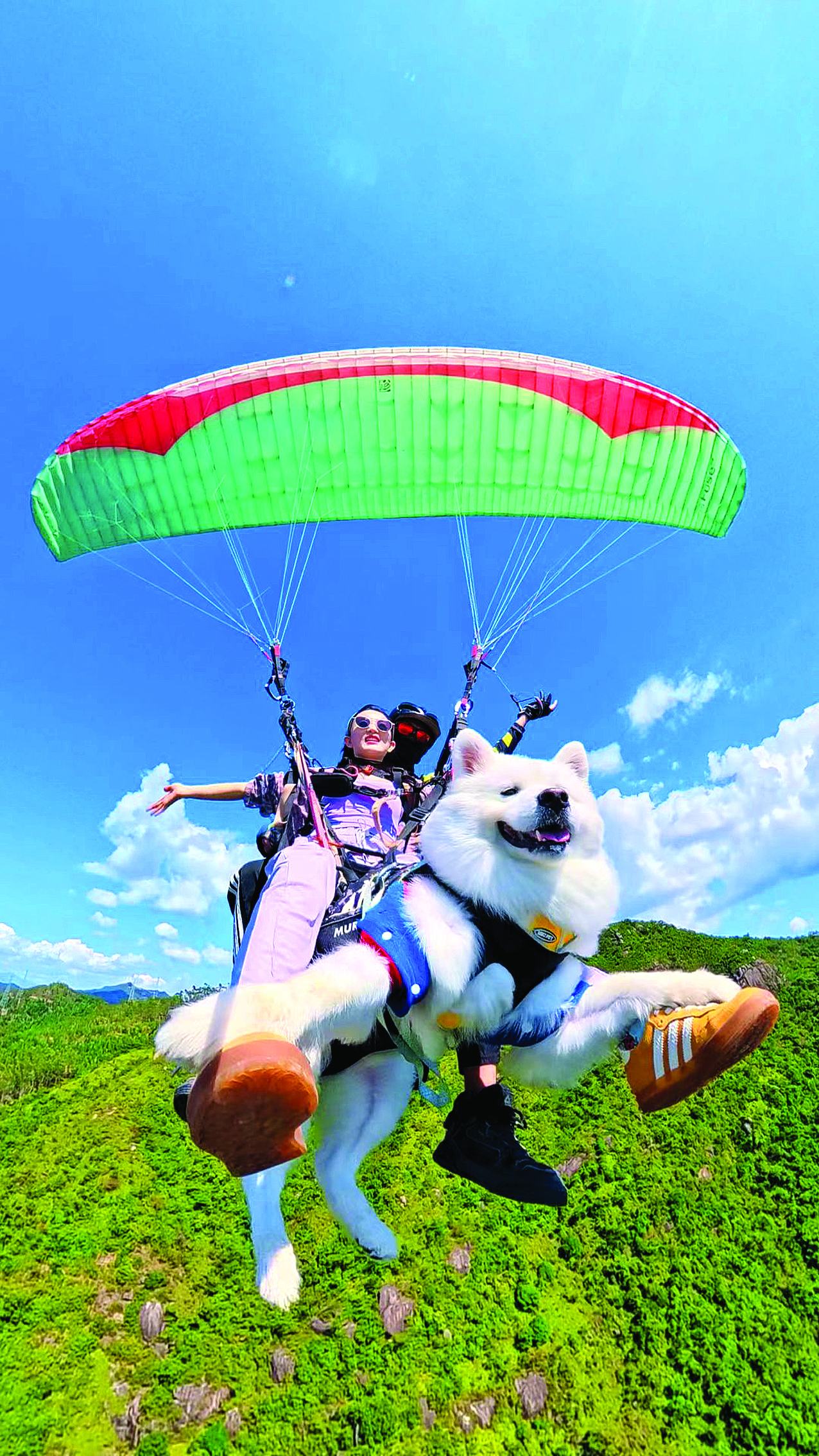 唐伟钟情巽寮湾！长弘户外“飞”出海洋文旅新体验(图1)